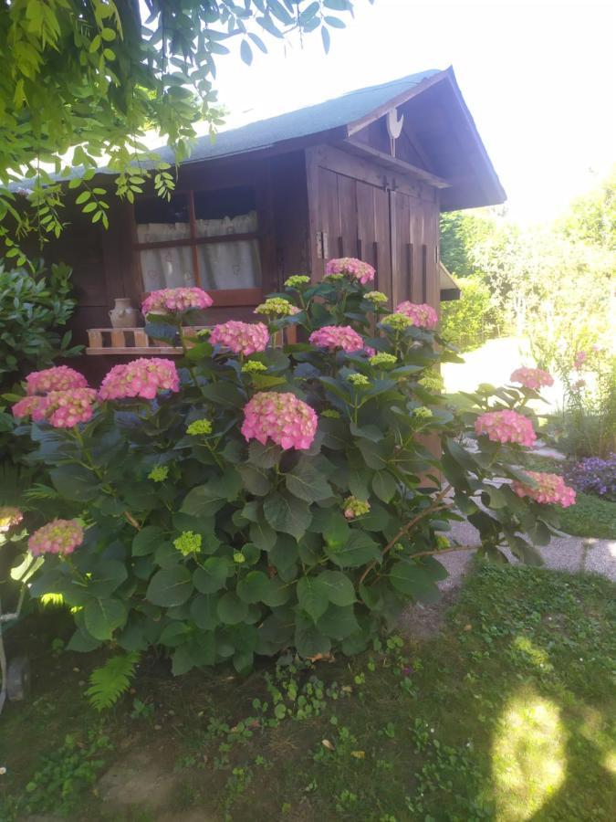 Al Casale B&B Casalserugo 외부 사진