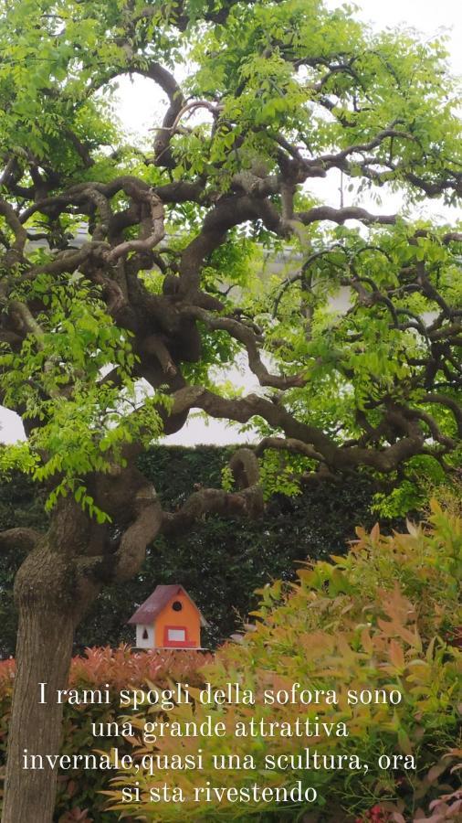 Al Casale B&B Casalserugo 외부 사진