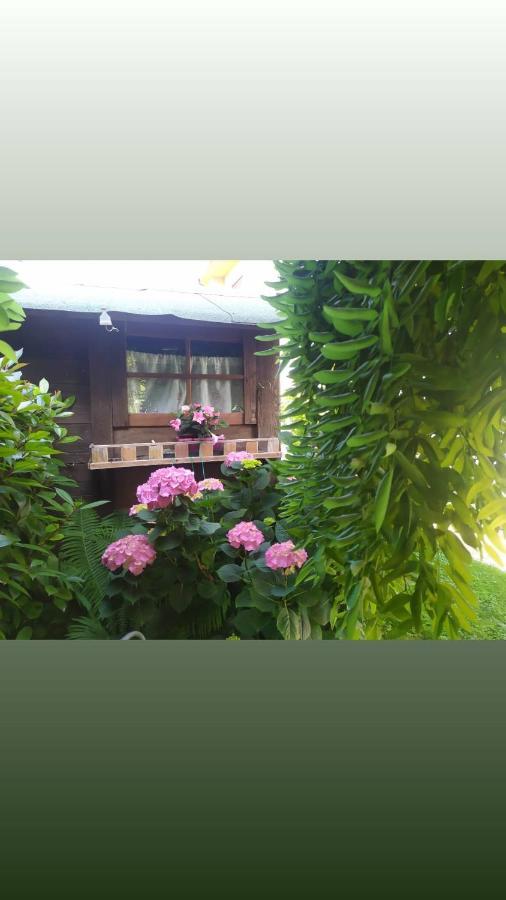 Al Casale B&B Casalserugo 외부 사진
