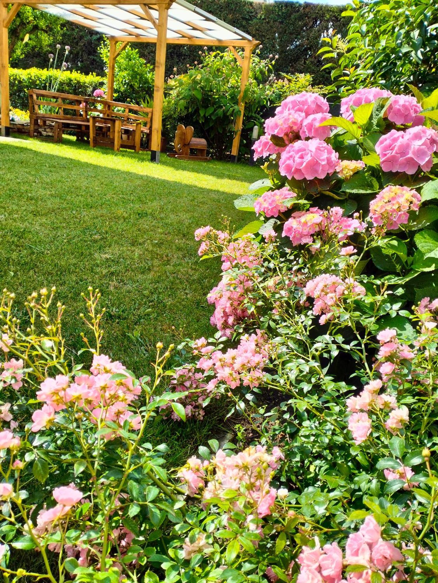 Al Casale B&B Casalserugo 외부 사진